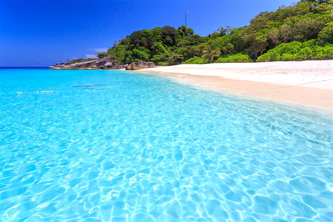 Gallery image for Similan Islands By Power Catamaran (Premium)